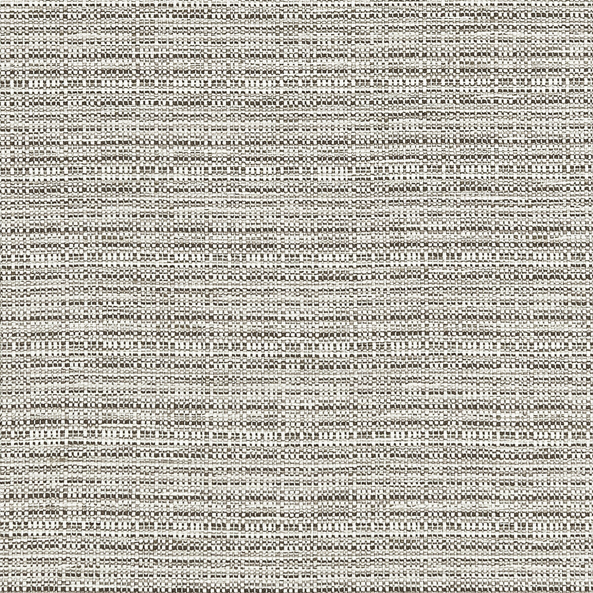 CLARKE AND CLARKE F1450/04.CAC.0 RAMIE SILVER Fabric - Eade's Wallpaper