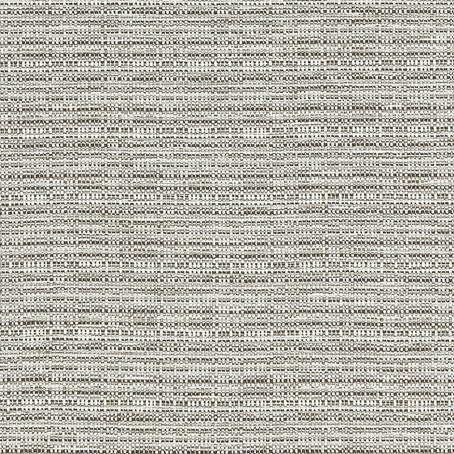 CLARKE AND CLARKE F1450/04.CAC.0 RAMIE SILVER Fabric - Eade's Wallpaper