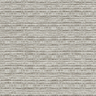 CLARKE AND CLARKE F1450/04.CAC.0 RAMIE SILVER Fabric - Eade's Wallpaper