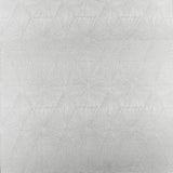CLARKE AND CLARKE F1456/03.CAC.0 BLAIZE PEWTER Fabric - Eade's Wallpaper