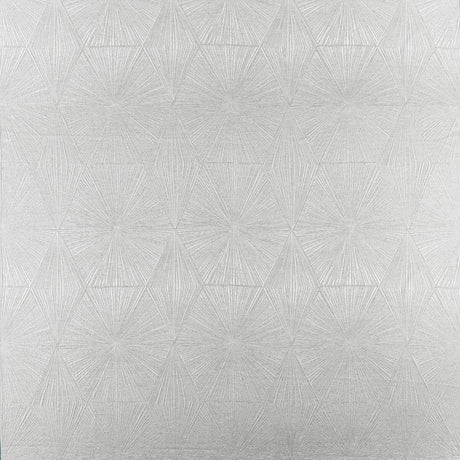 CLARKE AND CLARKE F1456/03.CAC.0 BLAIZE PEWTER Fabric - Eade's Wallpaper