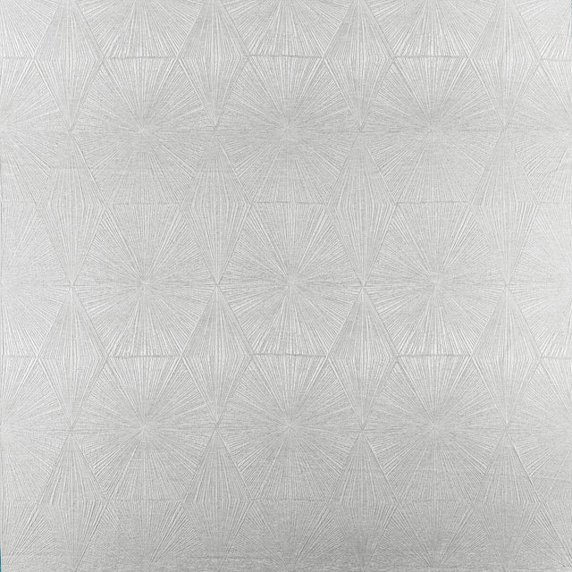 CLARKE AND CLARKE F1456/03.CAC.0 BLAIZE PEWTER Fabric - Eade's Wallpaper
