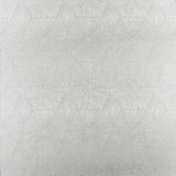 CLARKE AND CLARKE F1456/03.CAC.0 BLAIZE PEWTER Fabric - Eade's Wallpaper