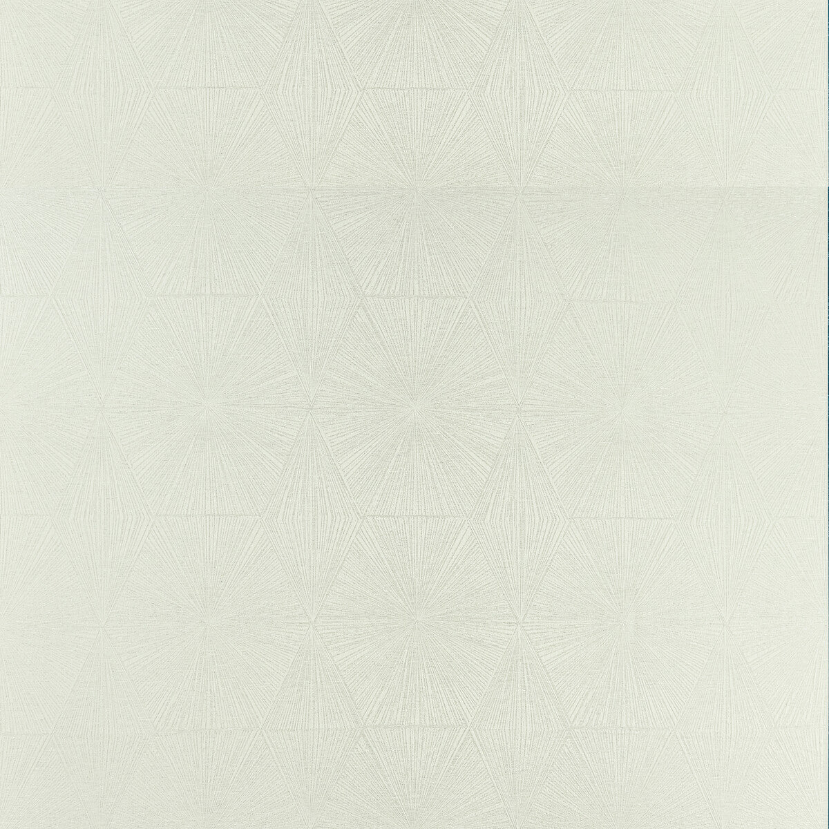 CLARKE AND CLARKE F1456/05.CAC.0 BLAIZE SILVER Fabric - Eade's Wallpaper