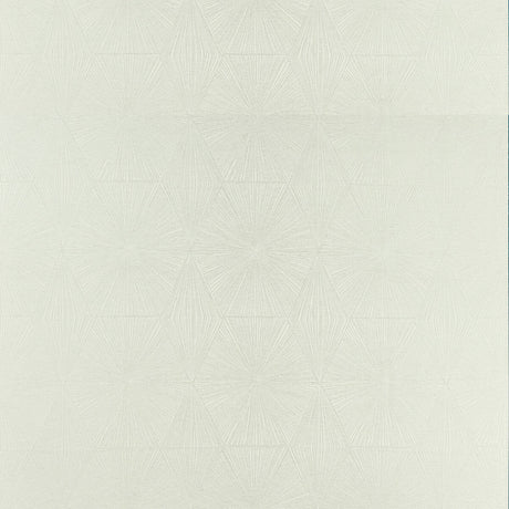 CLARKE AND CLARKE F1456/05.CAC.0 BLAIZE SILVER Fabric - Eade's Wallpaper
