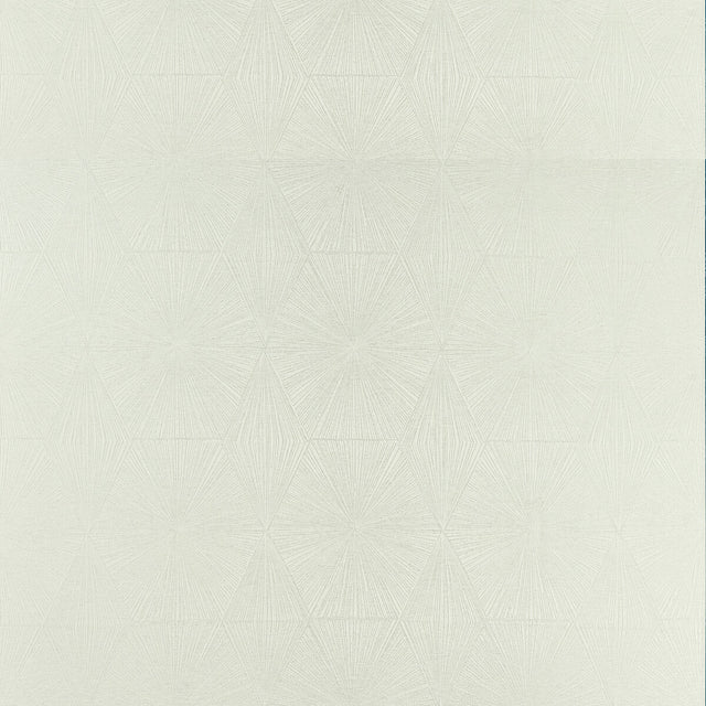 CLARKE AND CLARKE F1456/05.CAC.0 BLAIZE SILVER Fabric - Eade's Wallpaper