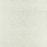 CLARKE AND CLARKE F1456/05.CAC.0 BLAIZE SILVER Fabric - Eade's Wallpaper