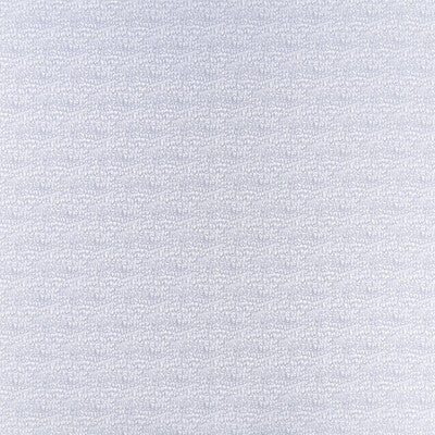 CLARKE AND CLARKE F1457/05.CAC.0 EREBIA SILVER Fabric - Eade's Wallpaper