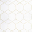 CLARKE AND CLARKE F1469/01.CAC.0 FORMA CHAMPAGNE Fabric - Eade's Wallpaper