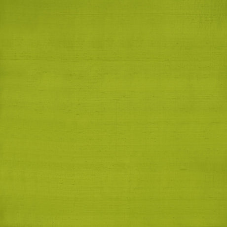 CLARKE AND CLARKE F1473/08.CAC.0 SLYPH LIME Fabric - Eade's Wallpaper