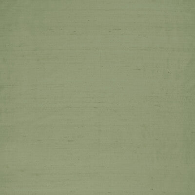 CLARKE AND CLARKE F1473/17.CAC.0 SLYPH PISTACHIO Fabric - Eade's Wallpaper