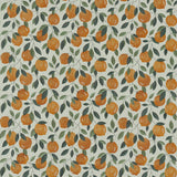CLARKE AND CLARKE F1508/02.CAC.0 SICILIAN ORANGE Fabric - Eade's Wallpaper