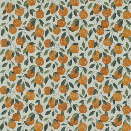 CLARKE AND CLARKE F1508/02.CAC.0 SICILIAN ORANGE Fabric - Eade's Wallpaper