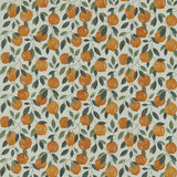 CLARKE AND CLARKE F1508/02.CAC.0 SICILIAN ORANGE Fabric - Eade's Wallpaper