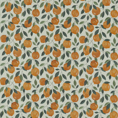 CLARKE AND CLARKE F1508/02.CAC.0 SICILIAN ORANGE Fabric - Eade's Wallpaper