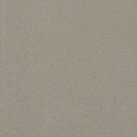 CLARKE AND CLARKE F1511/04.CAC.0 MIAMI ASH Fabric - Eade's Wallpaper
