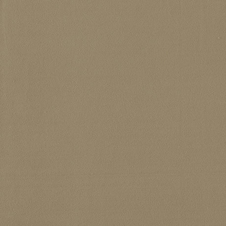 CLARKE AND CLARKE F1511/05.CAC.0 MIAMI BEAVER Fabric - Eade's Wallpaper
