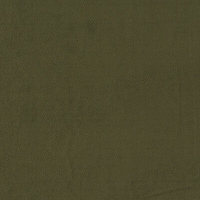 CLARKE AND CLARKE F1511/08.CAC.0 MIAMI CHIVE Fabric - Eade's Wallpaper