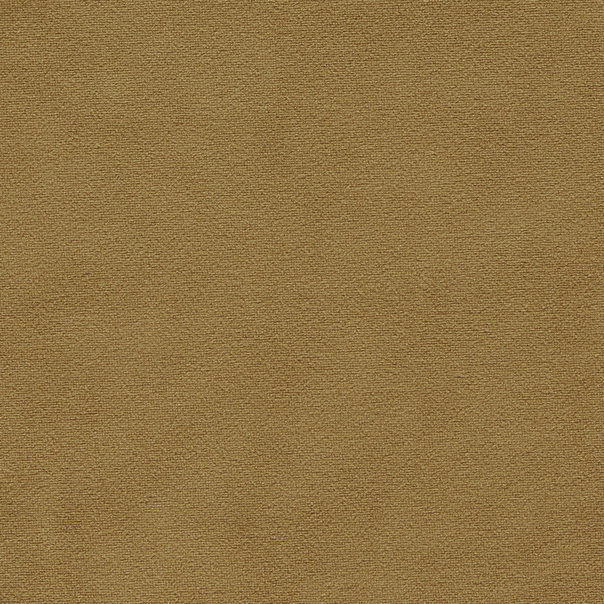 CLARKE AND CLARKE F1511/14.CAC.0 MIAMI GOLD Fabric - Eade's Wallpaper