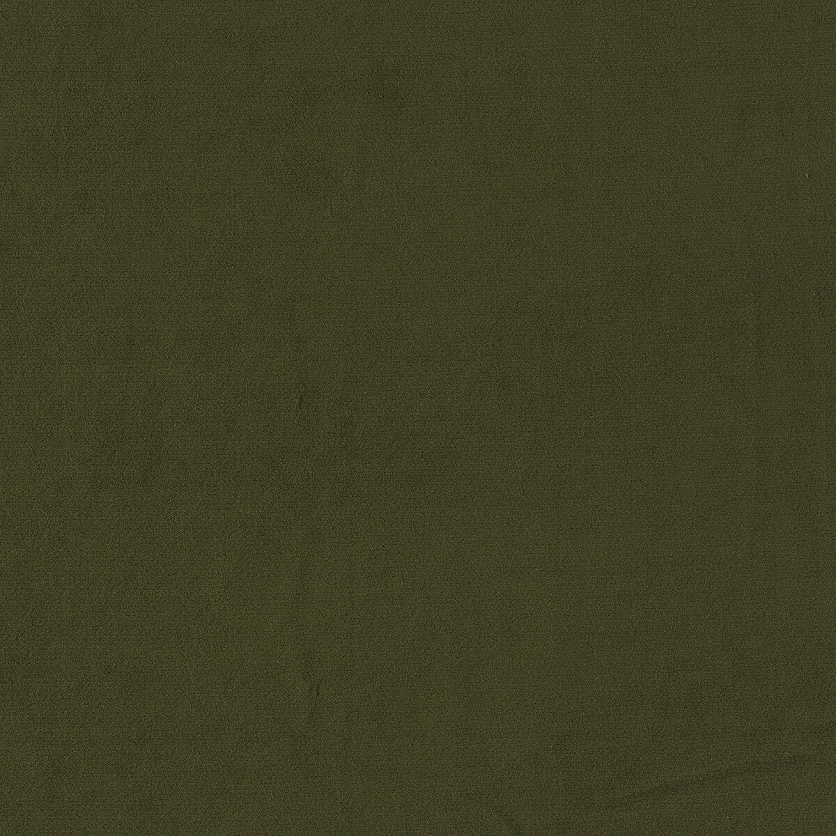 CLARKE AND CLARKE F1511/16.CAC.0 MIAMI HERB Fabric - Eade's Wallpaper