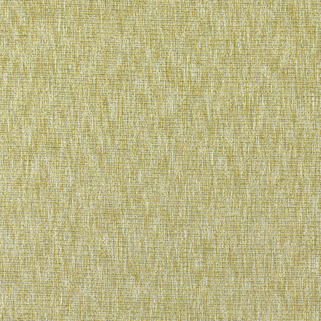 CLARKE AND CLARKE F1527/03.CAC.0 AVANI CHARTREUSE Fabric - Eade's Wallpaper