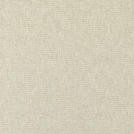 CLARKE AND CLARKE F1527/05.CAC.0 AVANI LINEN Fabric - Eade's Wallpaper