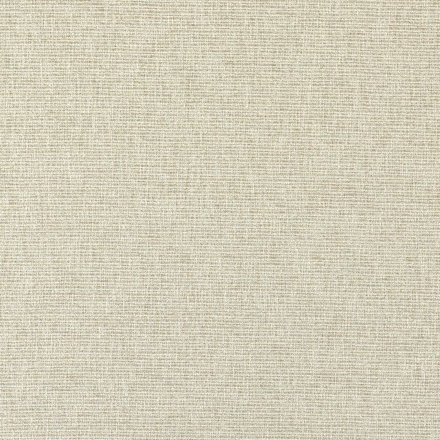 CLARKE AND CLARKE F1527/05.CAC.0 AVANI LINEN Fabric - Eade's Wallpaper