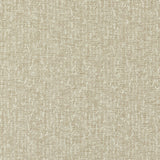 CLARKE AND CLARKE F1529/01.CAC.0 TIERRA ANTIQUE Fabric - Eade's Wallpaper
