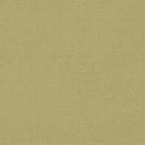 CLARKE AND CLARKE F1537/01.CAC.0 LAZIO ANTIQUE Fabric - Eade's Wallpaper