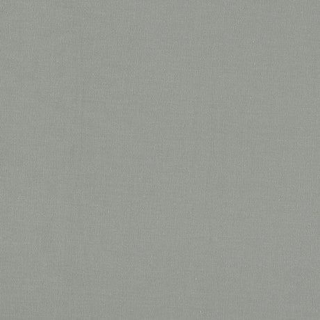 CLARKE AND CLARKE F1537/02.CAC.0 LAZIO ASH Fabric - Eade's Wallpaper