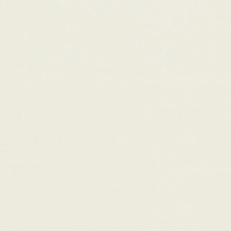 CLARKE AND CLARKE F1537/21.CAC.0 LAZIO LINEN Fabric - Eade's Wallpaper