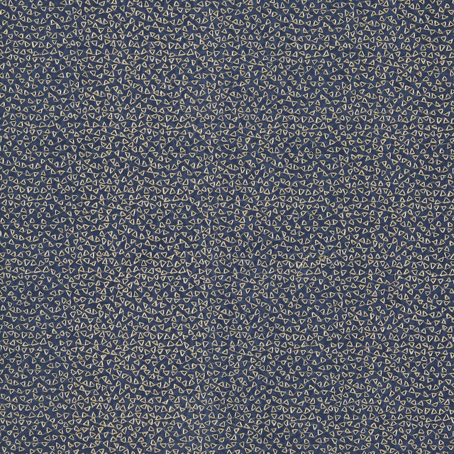 CLARKE AND CLARKE F1548/02.CAC.0 RICAMO MIDNIGHT Fabric - Eade's Wallpaper
