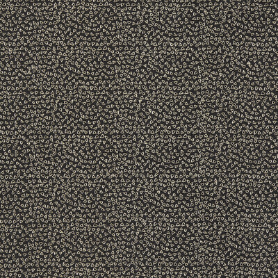 CLARKE AND CLARKE F1548/03.CAC.0 RICAMO NERO Fabric - Eade's Wallpaper
