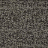 CLARKE AND CLARKE F1548/03.CAC.0 RICAMO NERO Fabric - Eade's Wallpaper