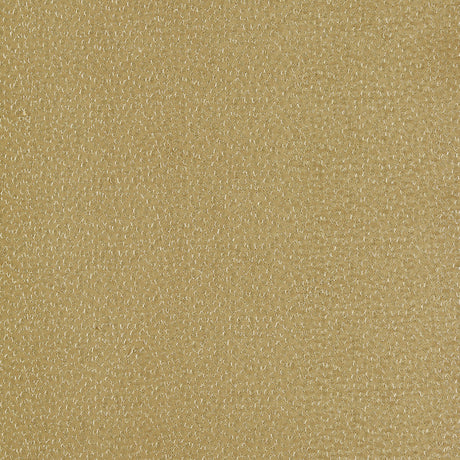 CLARKE AND CLARKE F1548/04.CAC.0 RICAMO OCHRE Fabric - Eade's Wallpaper