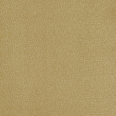 CLARKE AND CLARKE F1548/04.CAC.0 RICAMO OCHRE Fabric - Eade's Wallpaper