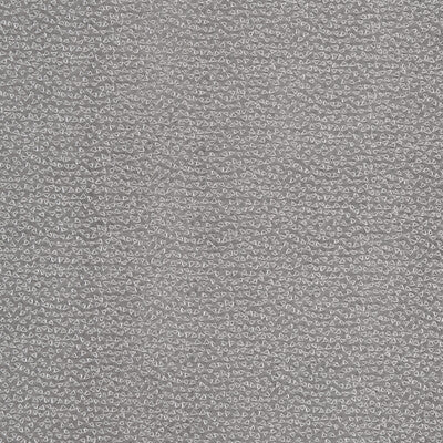 CLARKE AND CLARKE F1548/05.CAC.0 RICAMO PEWTER Fabric - Eade's Wallpaper
