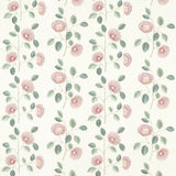 CLARKE AND CLARKE F1555/02.CAC.0 MONIQUE BLUSH/RASPBERRY Fabric - Eade's Wallpaper