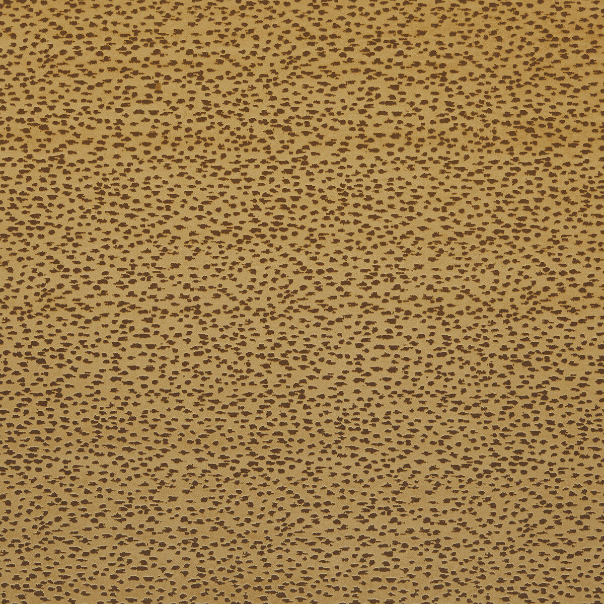 CLARKE AND CLARKE F1564/02.CAC.0 ASTRAL GOLD Fabric - Eade's Wallpaper