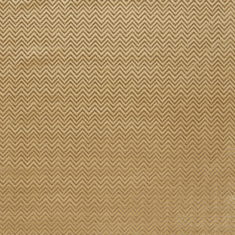 CLARKE AND CLARKE F1566/02.CAC.0 NEXUS GOLD Fabric - Eade's Wallpaper