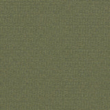 CLARKE AND CLARKE F1569/05.CAC.0 MALONE MOSS Fabric - Eade's Wallpaper