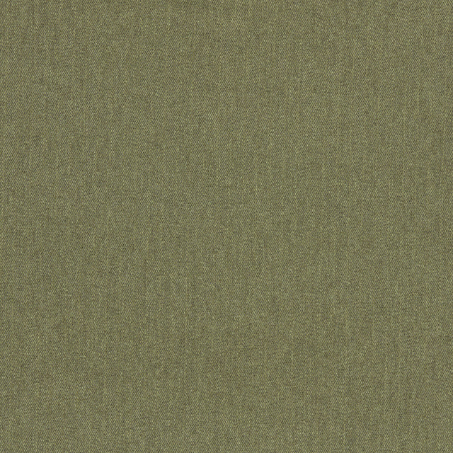 CLARKE AND CLARKE F1570/07.CAC.0 ROWLAND MOSS Fabric - Eade's Wallpaper