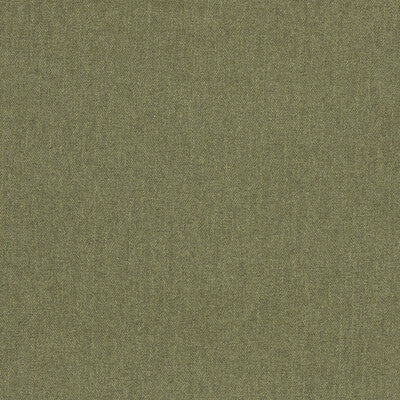 CLARKE AND CLARKE F1570/07.CAC.0 ROWLAND MOSS Fabric - Eade's Wallpaper