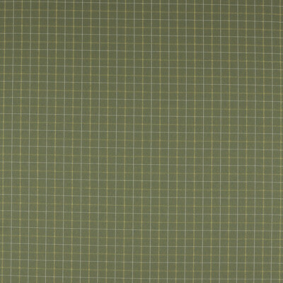 CLARKE AND CLARKE F1571/04.CAC.0 THORNTON MOSS Fabric - Eade's Wallpaper