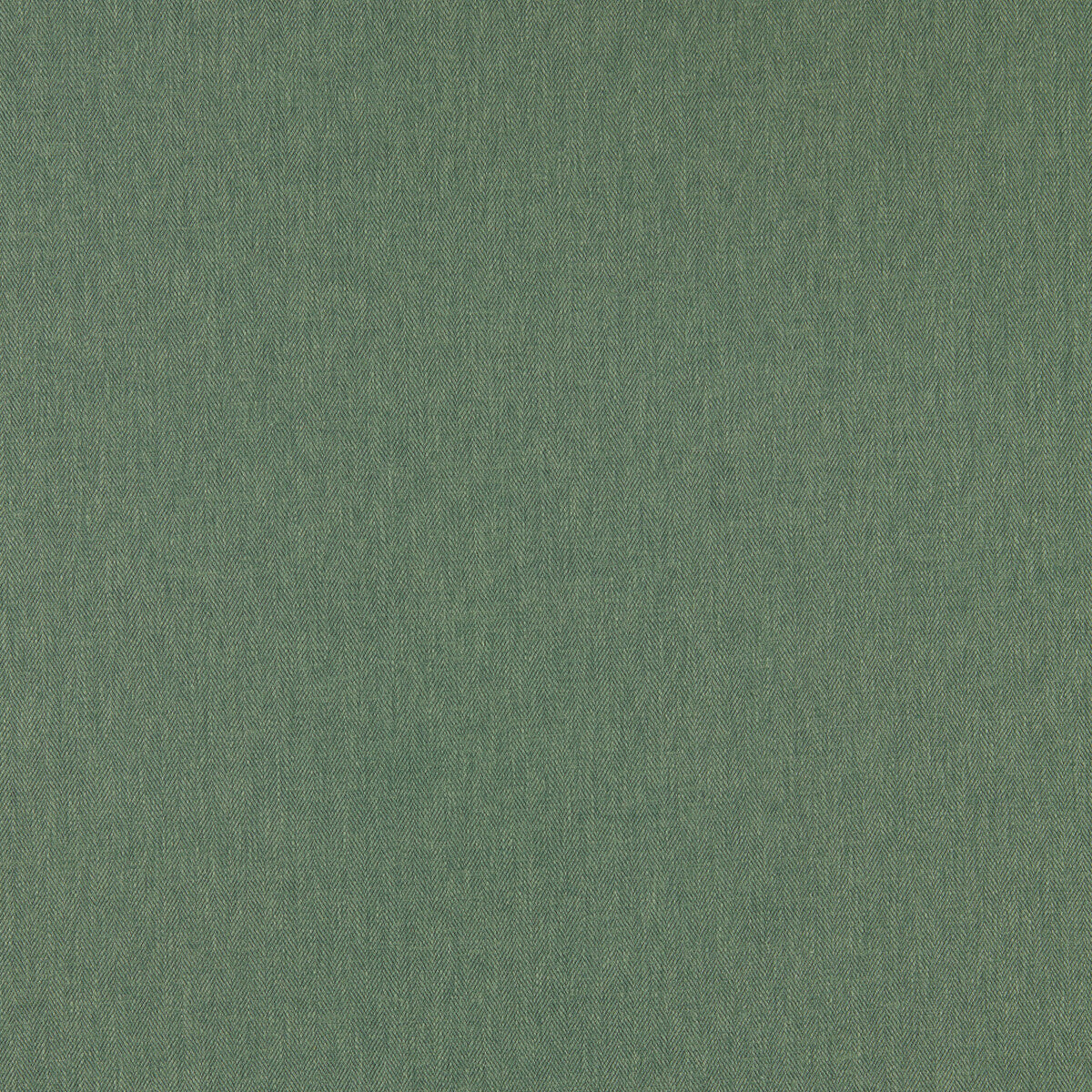 CLARKE AND CLARKE F1572/09.CAC.0 ORLA HERB Fabric - Eade's Wallpaper