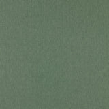 CLARKE AND CLARKE F1572/09.CAC.0 ORLA HERB Fabric - Eade's Wallpaper