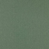 CLARKE AND CLARKE F1572/09.CAC.0 ORLA HERB Fabric - Eade's Wallpaper