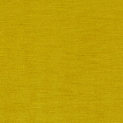 CLARKE AND CLARKE F1583/05.CAC.0 RIVA CHARTREUSE Fabric - Eade's Wallpaper
