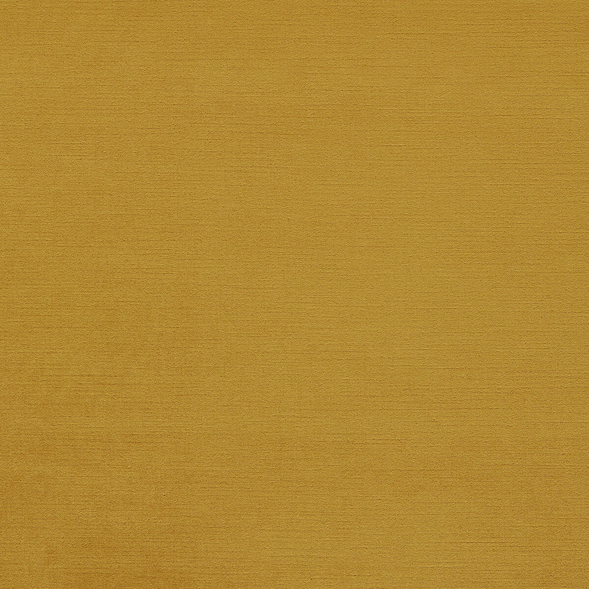 CLARKE AND CLARKE F1583/13.CAC.0 RIVA HONEY Fabric - Eade's Wallpaper