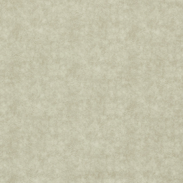 CLARKE AND CLARKE F1598/10.CAC.0 DAWSON NATURAL Fabric - Eade's Wallpaper